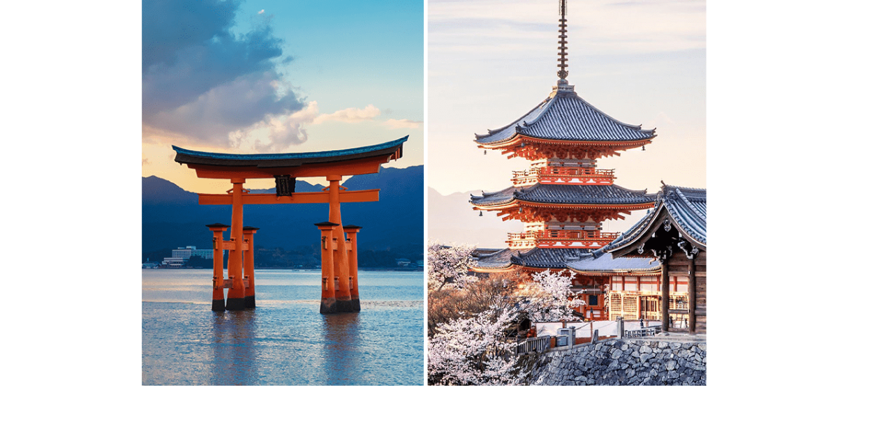 Halal Travel Package